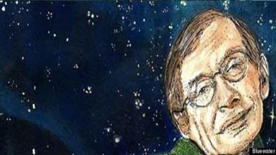 Foto de O Universo de Stephen Hawking dublado