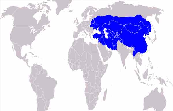 O que foi o O Império Mongol - Visão geral - Resumo