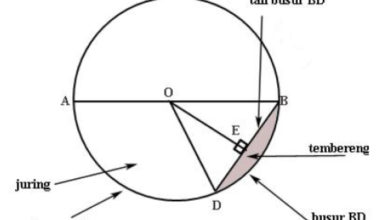 Foto de A fórmula para a circunferência de um círculo e como calculá-la