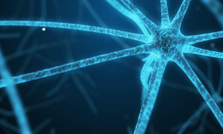 Peças de neurônios e seus tipos - Classe inteligente