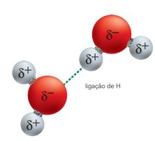 Ligação de hidrogênio